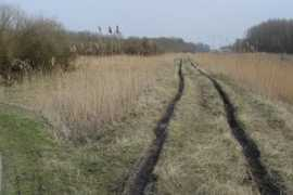 panoramio.com Natuur