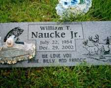 rootsweb.ancestry.com Naucke