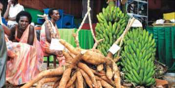 theeastafrican.co.ke Ndegeya