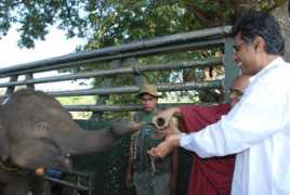 lankaweb.com Neelaka