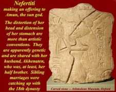 mmdtkw.org Nefretiti