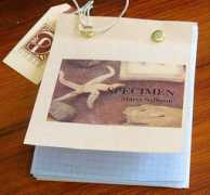 jacketmagazine.com Nelligan