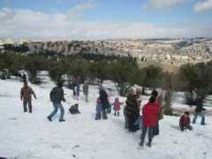 owurman.com Nelstein