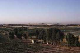 Neneveh