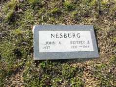 Nesburg