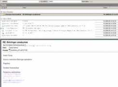 tomas.ring.lt Neverauskas