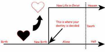 tippfellowship.org Newbirth