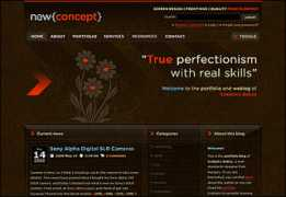 pixelgangster.de Newconcept