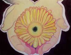 vsatx.org Newcreation