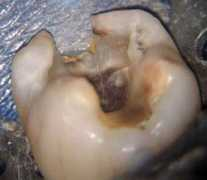 dentalindia.com Nfm