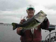 rickysguideservice.com Nichelini