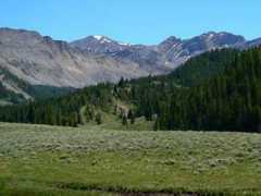 backcountrymt.com Nicholia