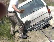 jerezinmobiliaria.com Nicolasin