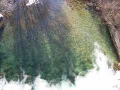 auchatbleu.fr Nicouleau