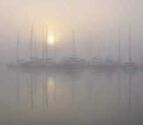 panoramio.com Niebla