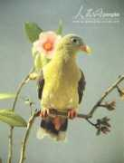 env.people.com.cn Nigeon