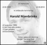 mensenlinq.nl Nijenbrinks