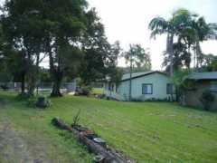 nimbinaustralia.com Nimbin