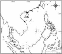 thaibirding.com Nimnuan