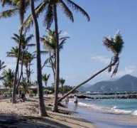 sweetnevis.com Nisbet