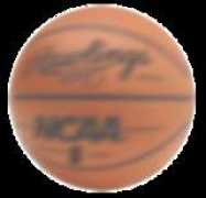 members.shaw.ca Nmotion