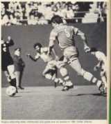nasljerseys.com Nogly