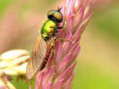 ecosociosystemes.fr Nond