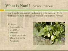 Noni