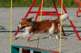 uusikaupunki.fi Noosi