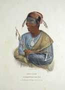 aradergalleries.com Noquet