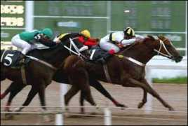 turfebrasil.not.br Norant