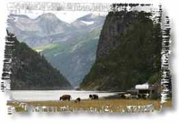 gonorway.com Norddal
