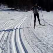 Nordico