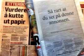 gjest.blogg.no Nordskar