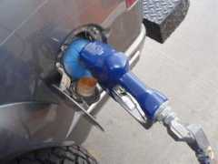 rydberg.biology.colostate.edu Nossel