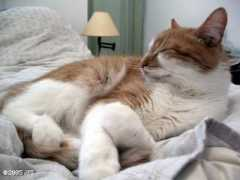 mindofwinter.prettyposies.com Nounie