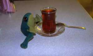 terravelo.free.fr Nounouille