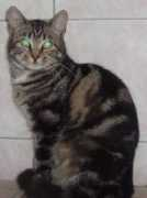 spasaverne67.free.fr Nounouille