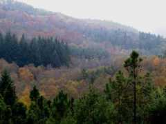 panoramio.com Nramos