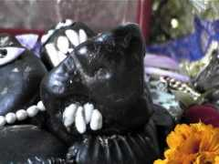 salagram.net Nrisimha