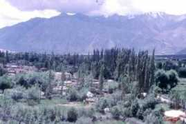 Nubra