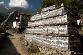 visoterra.com Nurning