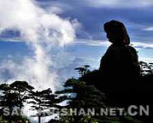 interpchina.com Nushen