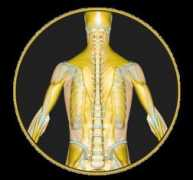 membrino.it Nutrizione