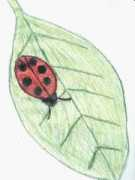 szkola2milanowek.neostrada.pl Nyczka