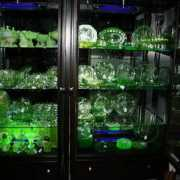 collectorsweekly.com Nyli