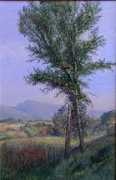 danagallery.com Oberling
