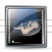iconshock.com Obstetrics