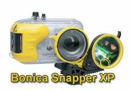 unterwasserwelt.de Ocaris