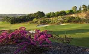 oceanicogolf.com Oceanico